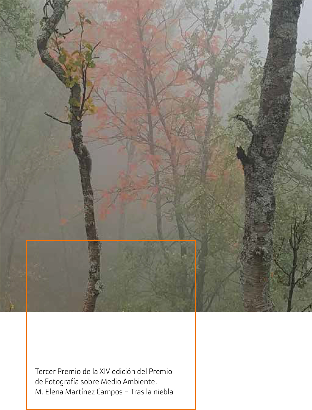 Tercer Premio de la XIV edición del Premio de Fotografía sobre Medio Ambiente. M. Elena Martínez Campos – Tras la niebla